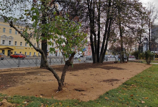 Часть зелёной зоны в скверах на площади Труда стала покрыта песком.