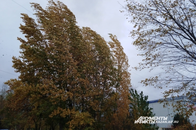 На Мирона Ветрогоном знали, что в этот день ветры гуляют на славу!