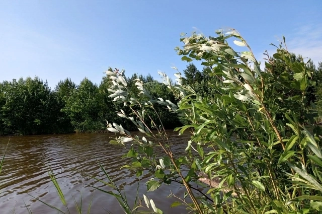 Водная гладь лишь выглядит спокойной и безопасной. 