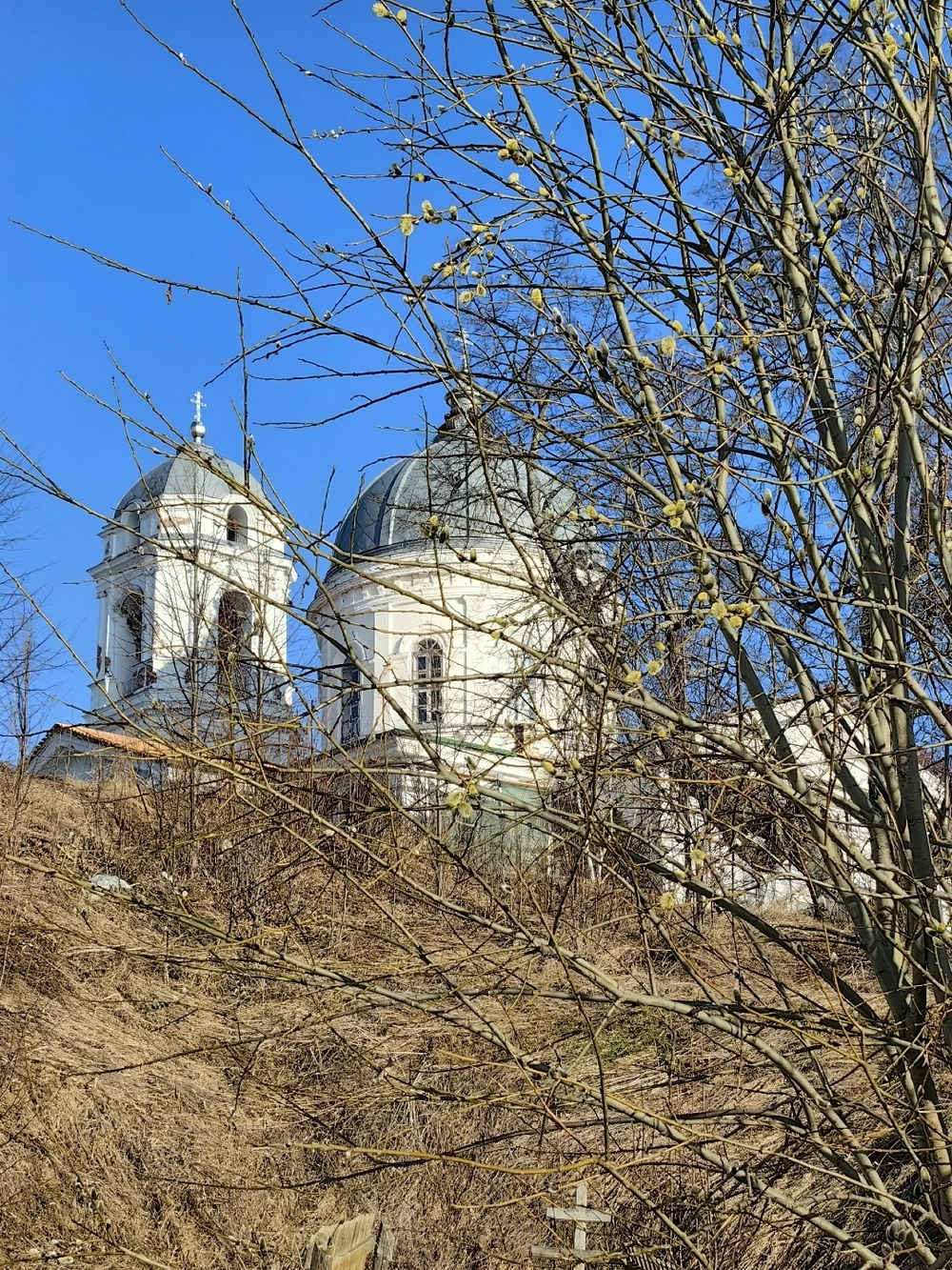 Алексей Панфилов