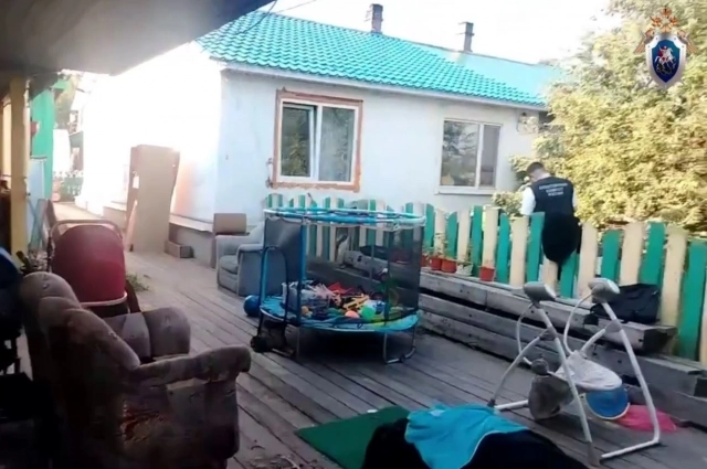 На заднем дворе множество игрушек.