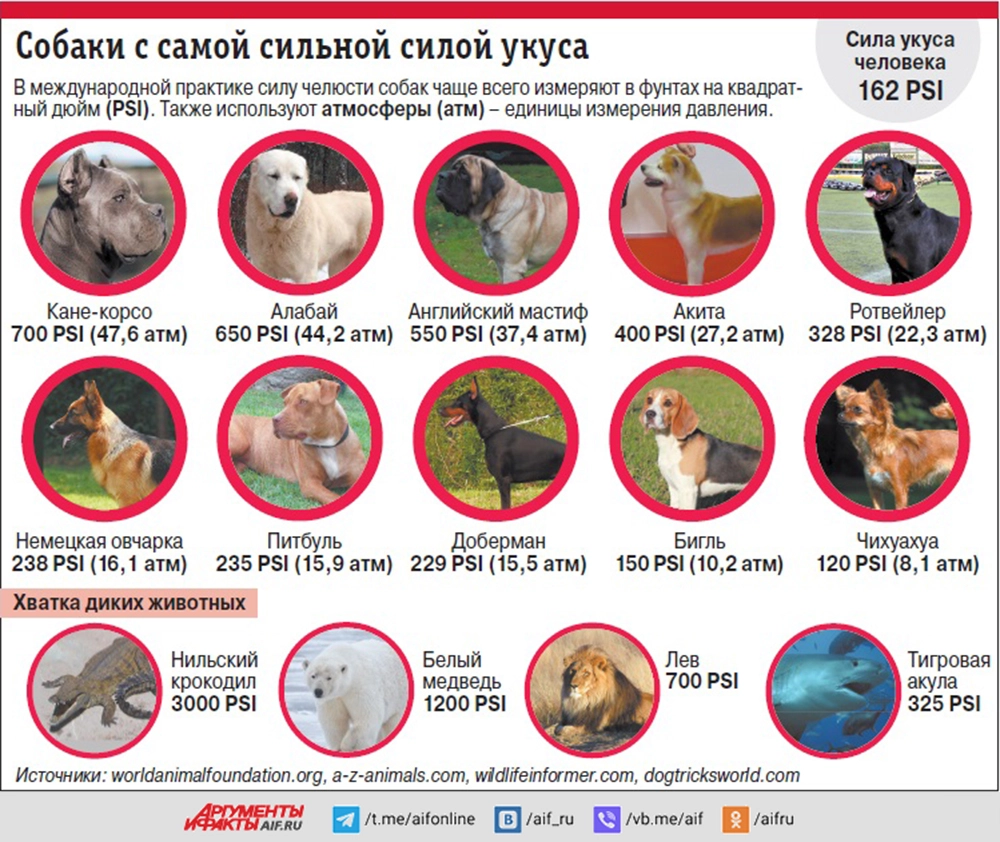 Нажмите для увеличения