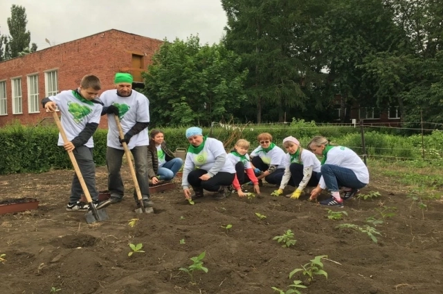 Эти ребята не просто сажают цветы, а проводят серьёзную селекционную работу.