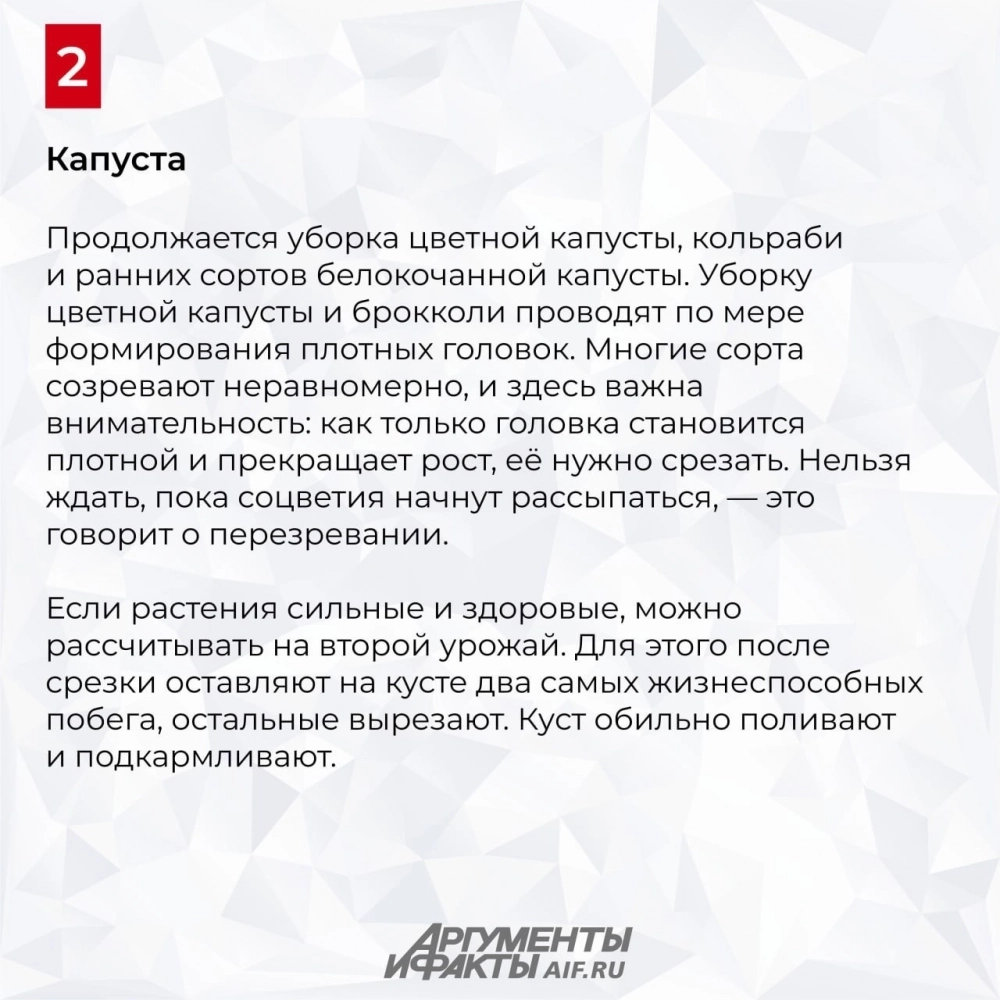Нажмите для увеличения.