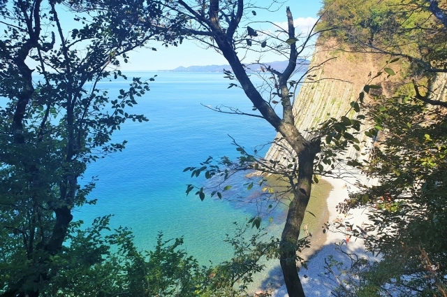 Лесопарк Кадош.