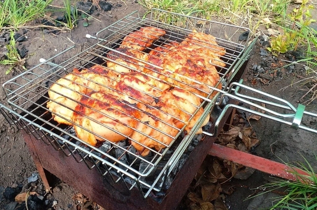 Шашлык вреден для собак и кошек.