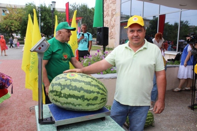 В 2021 году Алексей Степанов вырастил арбуз в 38,3 кг.