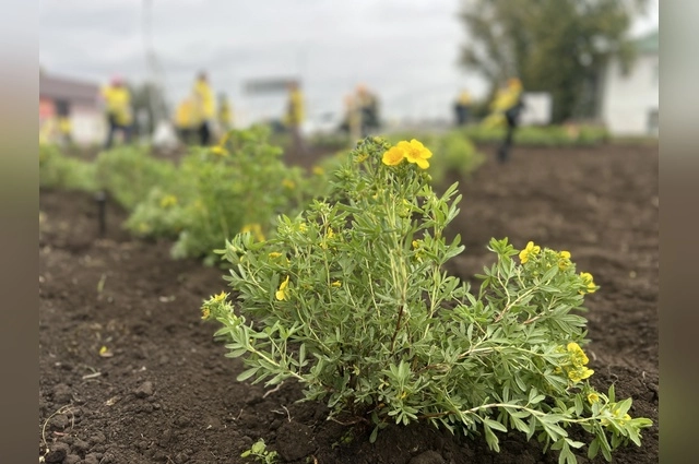 Цветущее Оренбуржье