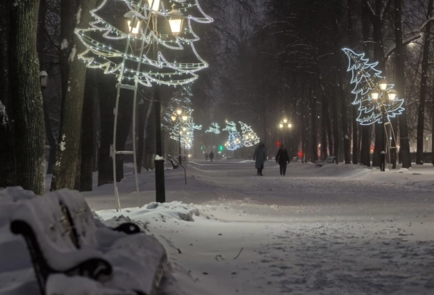 Но многие отправлялись на прогулку даже в буран.