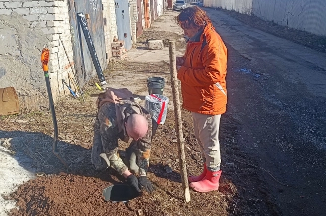 Ловушки волонтёры прозвали «жабоуловители».