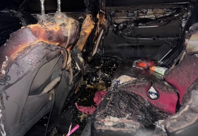 Иномарка полностью была охвачена пламенем. Огонь тушили силами двух расчётов. Скорая помощь срочно доставила 42-летнюю пострадавшую в НИИ скорой помощи имени Джанелидзе, где её поместили в реанимацию в критическом состоянии.