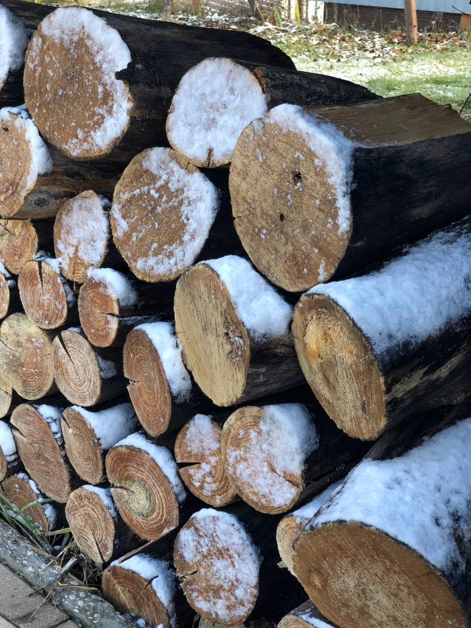 Первый снег в Самарской области