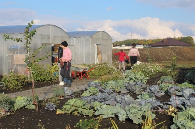 Рядом с поместьем — огород, на котором резиденты выращивают овощи.