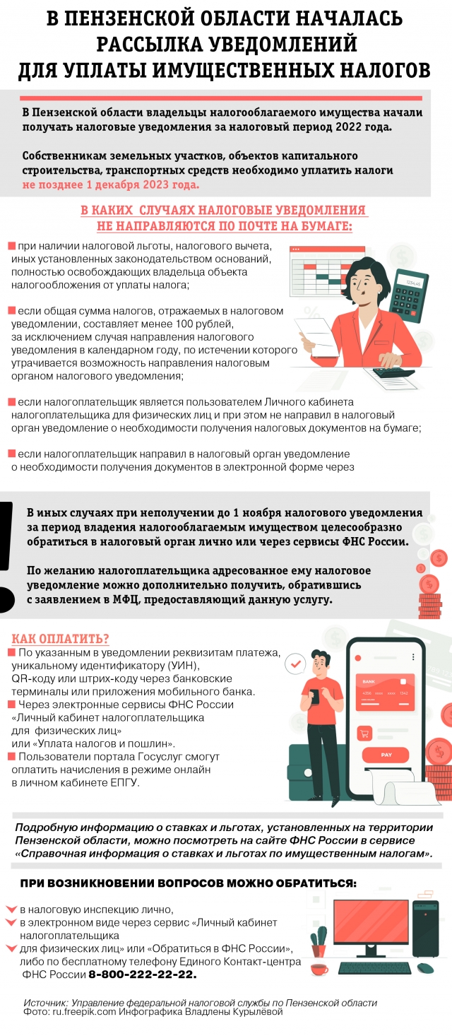 Как заплатить налоги? Инфорграфика | АиФ Пенза