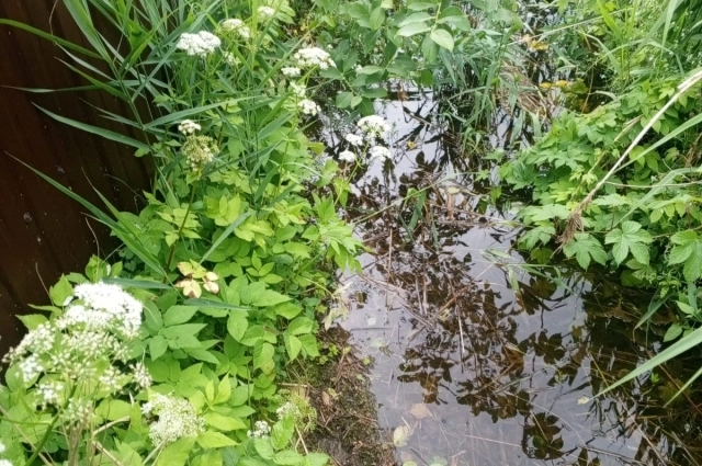 Проблему с отводом воды обещают решить уже в этом месяце