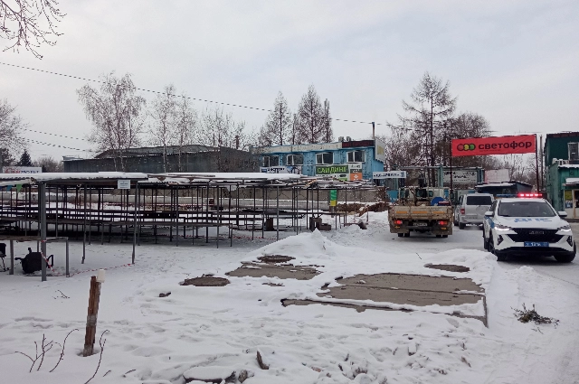 Рынок рассады на Химфармзаводе