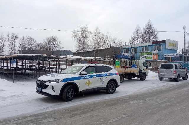 Рынок рассады на Химфармзаводе