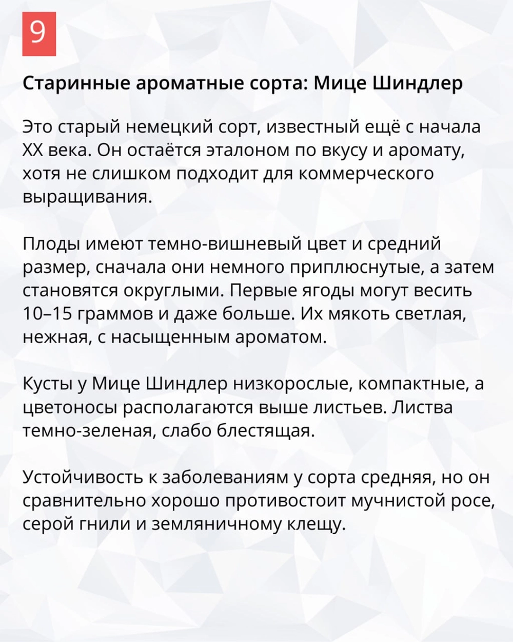 Нажмите для увеличения