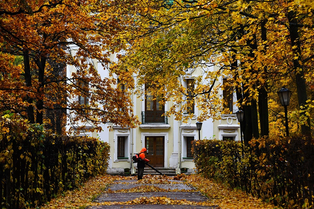 Парк Кусково.