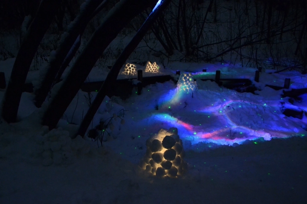 Интересные проекты помогают привлекать внимание к защите малых рек