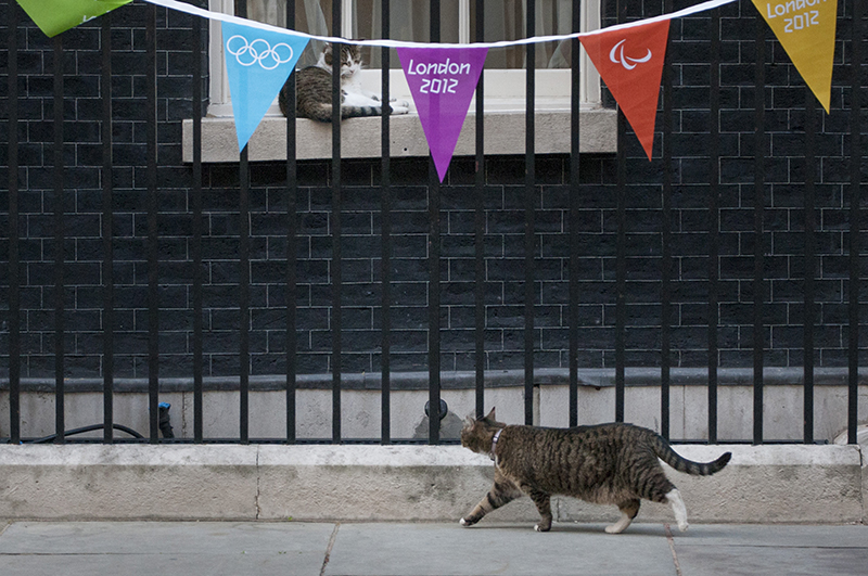 Фрейя и Ларри, как утверждает канцелярия британского премьера, стали напарниками по ловле грызунов на Даунинг-стрит