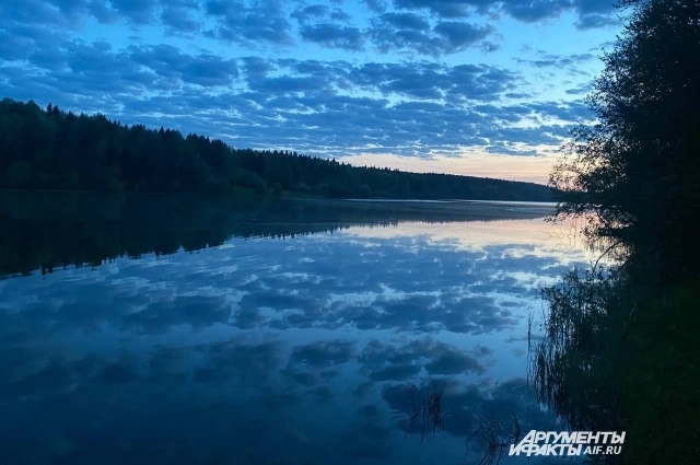 Местные жители купаются на пруду, но не в районе дамбы.