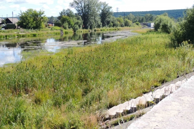 Заболоченная протока город не красит, считают нижнеудинцы. Но не все с ними согласны.
