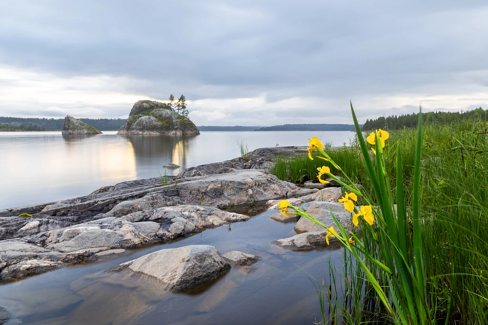 Память, вырезанная льдом. Пейзажи Ладожских шхер в объективе Геннадия Юсина     
 Память, вырезанная льдом. Пейзажи Ладожских шхер в объективе Геннадия Юсина