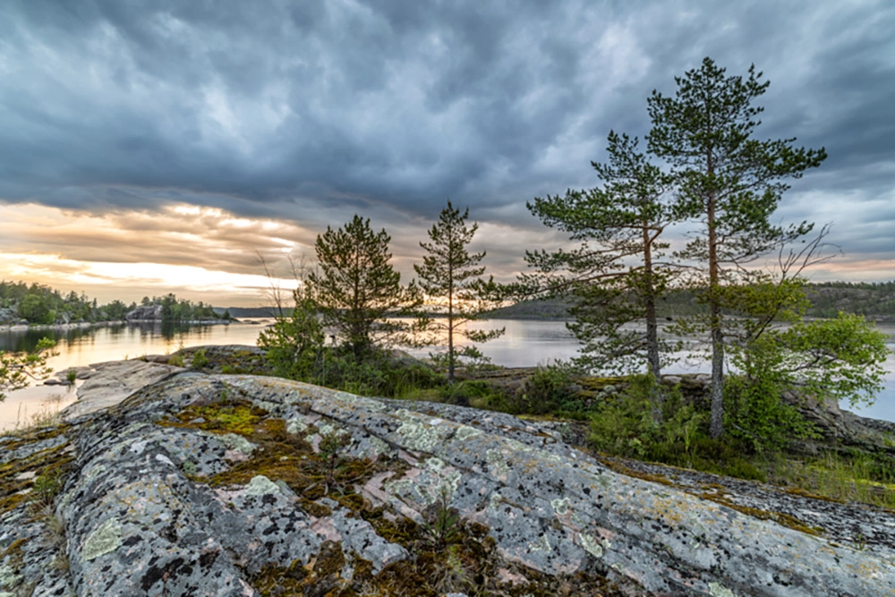 Память, вырезанная льдом. Пейзажи Ладожских шхер в объективе Геннадия Юсина     
 Память, вырезанная льдом. Пейзажи Ладожских шхер в объективе Геннадия Юсина