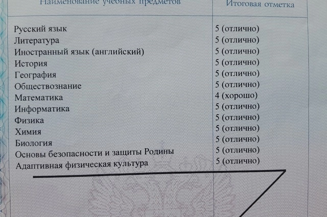 Диплом Екатерины об окончании школы.
