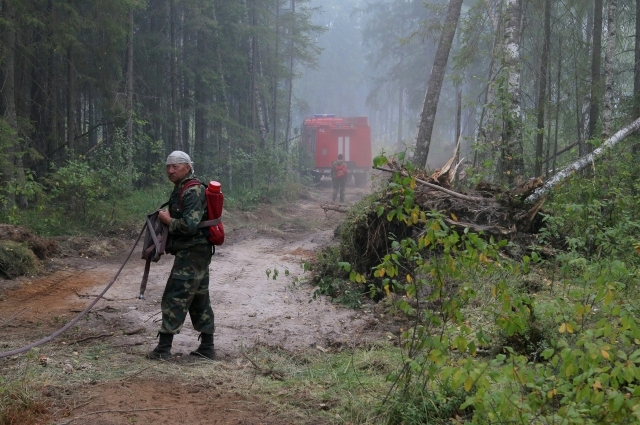 Первый в этом году лесной пожар произошел в регионе в районе Ярцева 8 мая.
