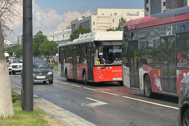 На некоторых маршрутах этим летом сменились перевозчики.