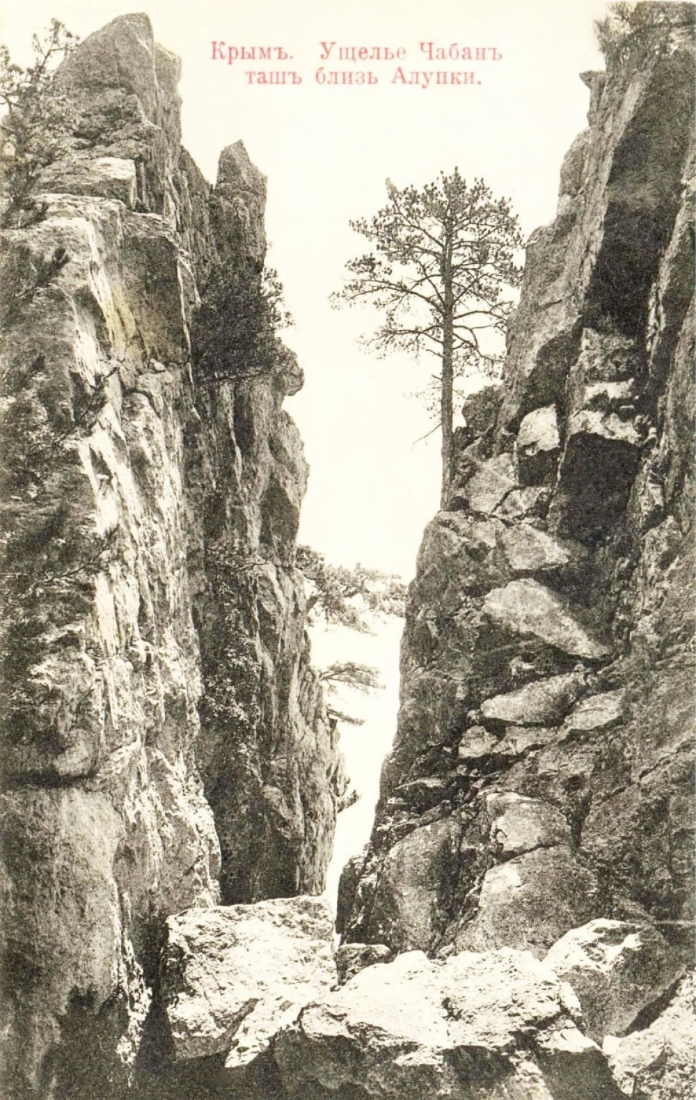 Ущелье на Южном берегу Крыма: в таких тоже пытались найти золото обыватели.