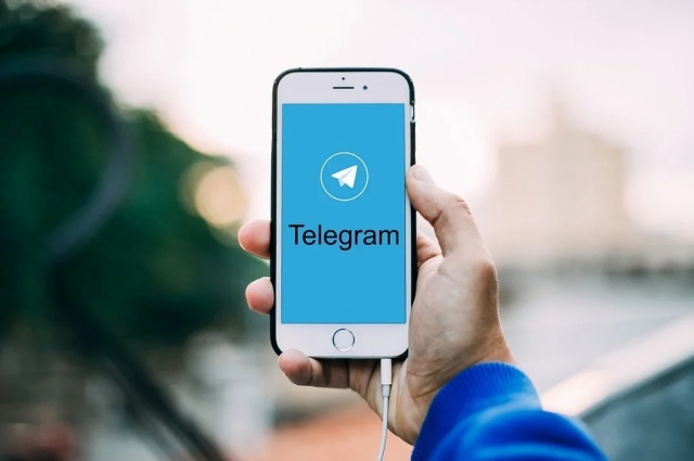 В Тюменской области работают три телеграм-чата.