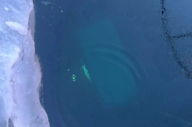 Тела доставали с глубины 18 метров.