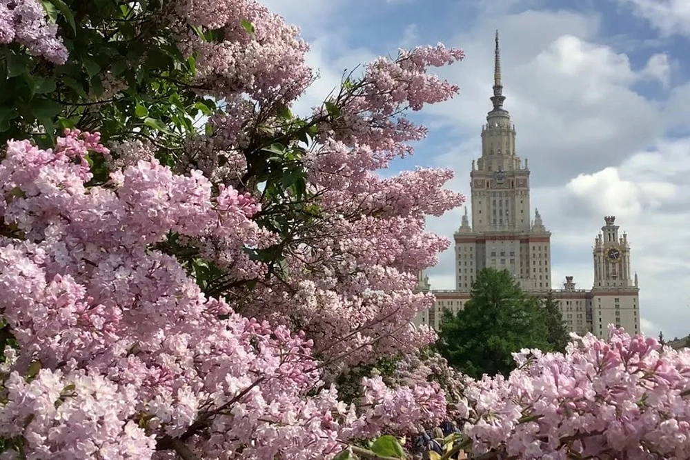 Воробьевы горы.