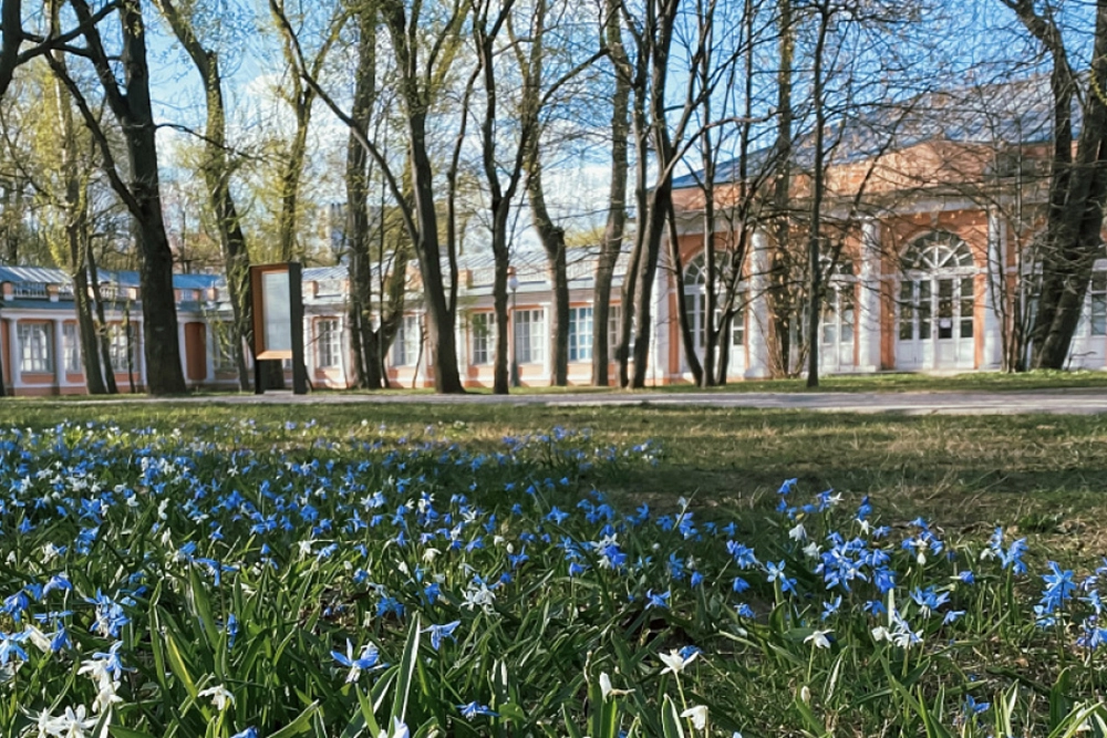 Усадьба Воронцово.