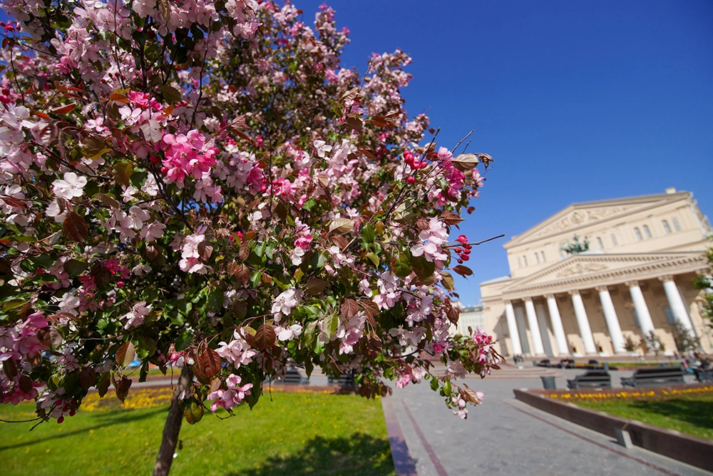 Театральная площадь.