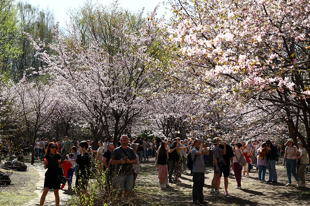 Бирюлевский дендропарк.