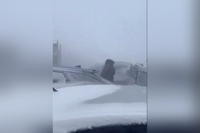 Метель сопровождалась порывистым ветром и резким ухудшением видимости.