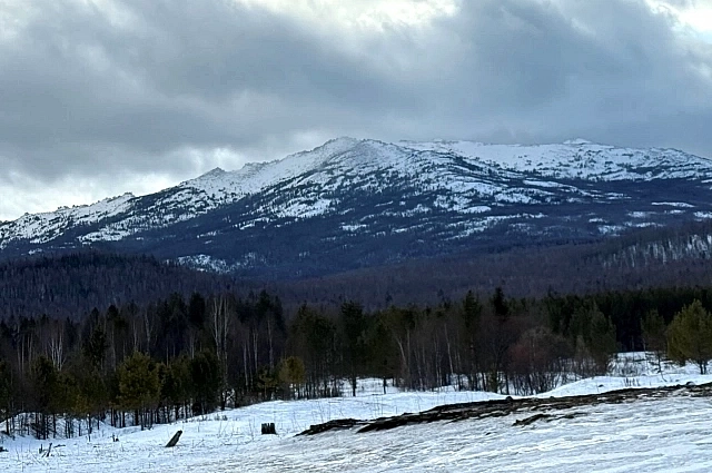 Кутурчинская тайга покрыта глубоким снегом.