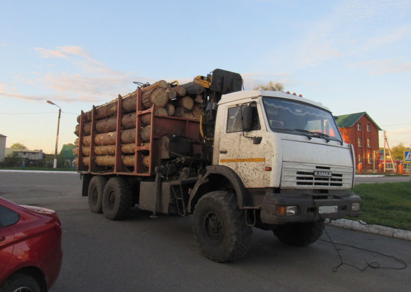 «Платон» — российская система взимания платы с грузовиков, имеющих разрешённую максимальную массу свыше 12 тонн.