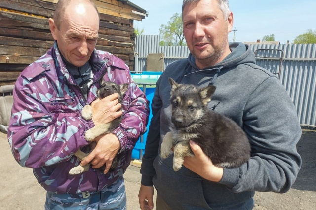 Новый бойцы вневедомственной охраны в села Калиновка.
