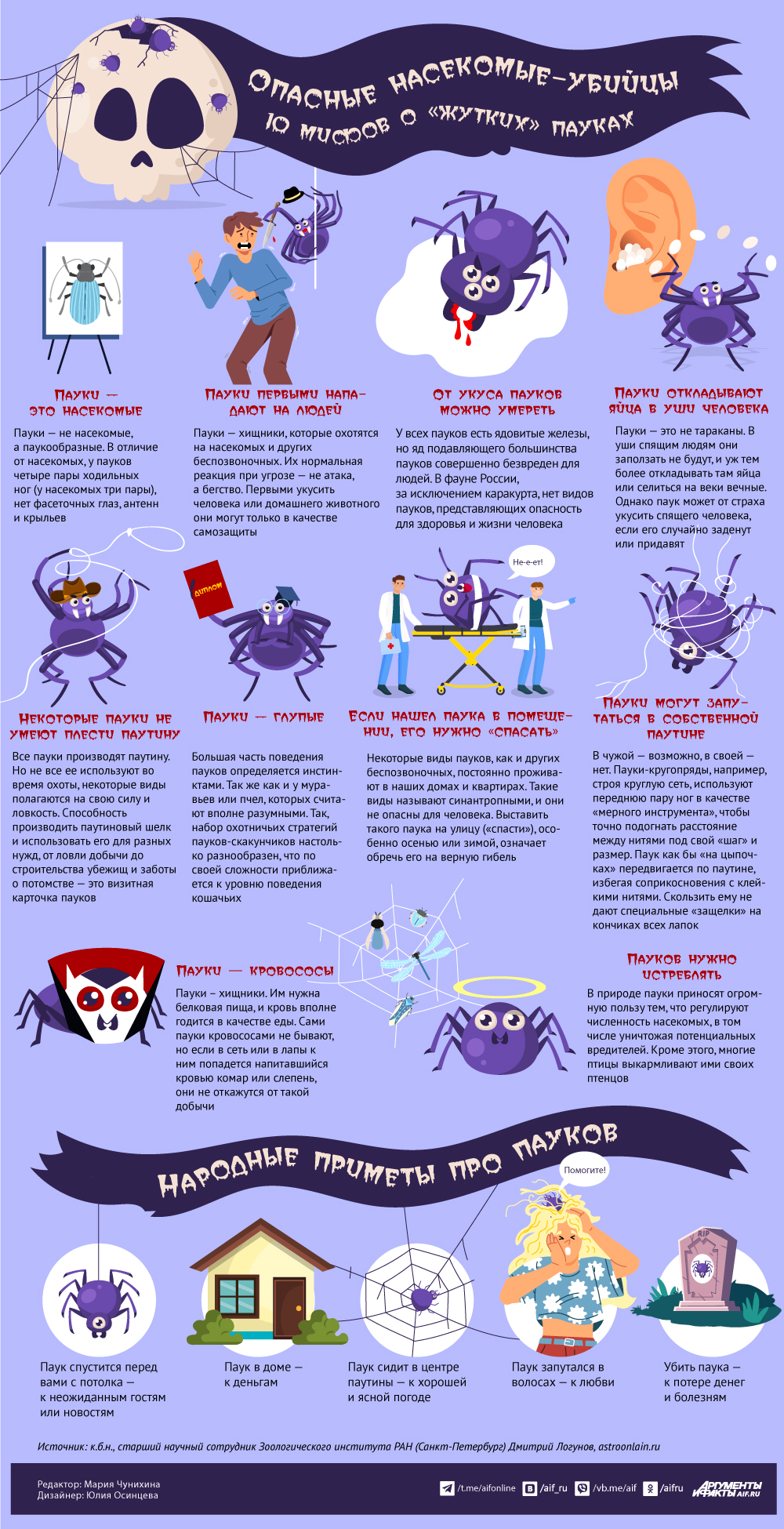 «Опасные насекомые-убийцы»: 10 мифов о «жутких» пауках. Инфографика1
