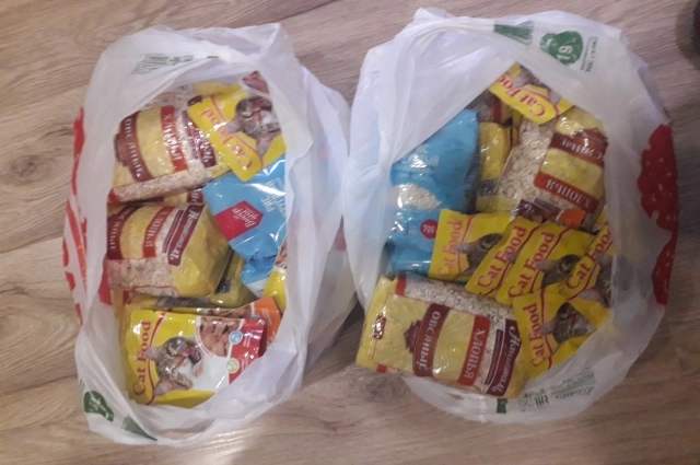 Весь корм кошатница покупает за свой счёт.