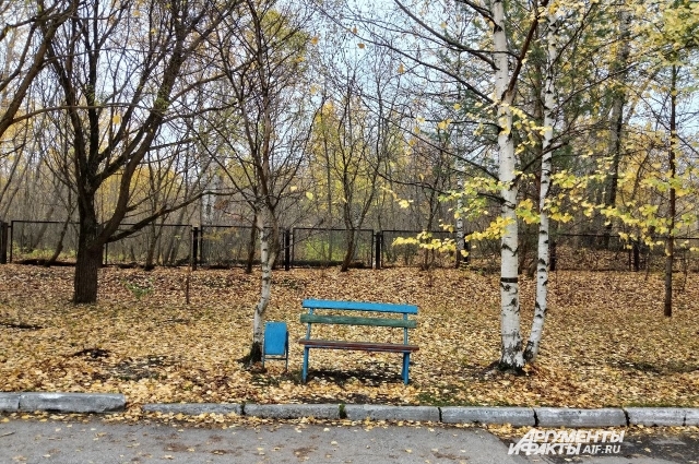 В дворе больницы тихо и спокойно.