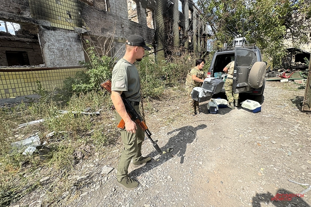 Фото к тексту Дмитрия Григорьева про Красногоровку