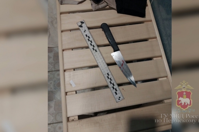 Кухонный нож, которым была убита девушка, нашли на месте преступления.
