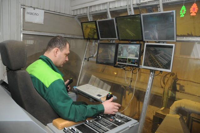 Инвесторы по лесопереработке готовы работать в прииртышской тайге.