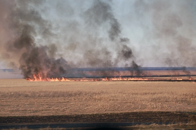Только с начала пожароопасного сезона в Омской области составлено 74 протокола. Общая сумма штрафов уже перевалила за 3 миллиона рублей. 